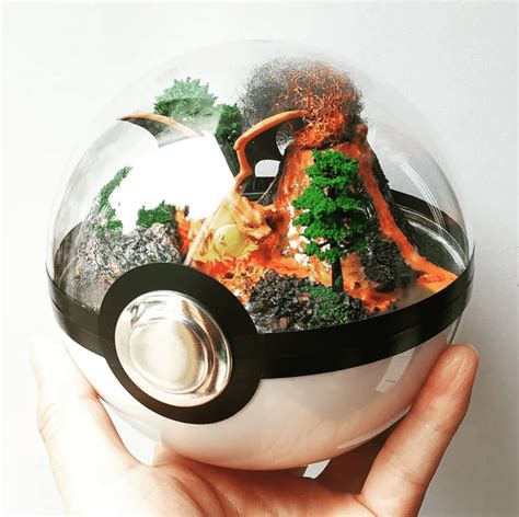 Pokemon Pokeball Terrariums Terrarium Creations