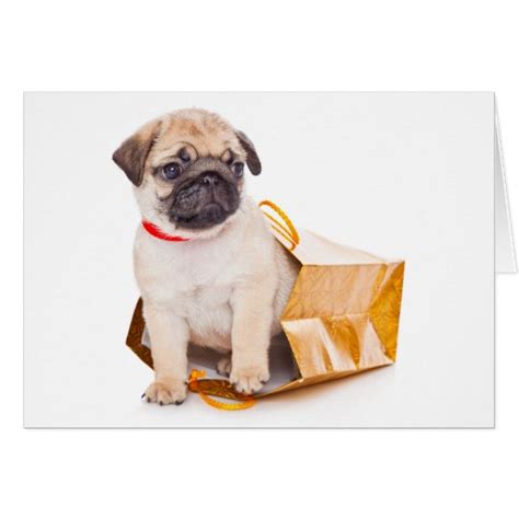 Pug Puppy Dog Blank Greeting Note Card Zazzle