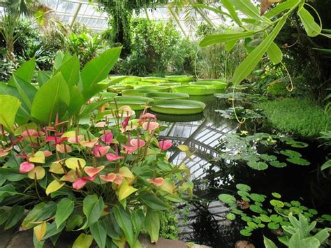 Plantentuin Jardin Botanique Meise Aktuelle Lohnt Es Sich