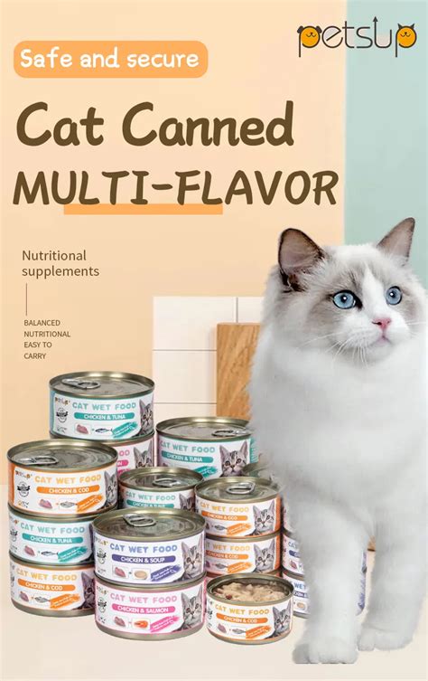 The Best Wet Foods For Your Kitten In 2023 Ph