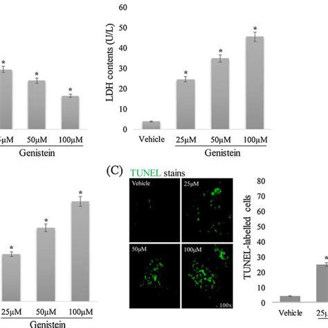 Detectable Anti Proliferative Effect Of Genistein In Inhibiting Crc