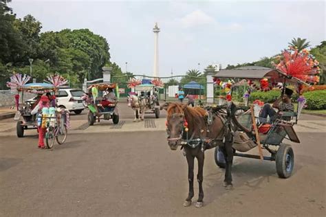 Delman Bakal Dilarang Beroperasi Di Monas Hingga Bundaran HI Jawa Pos