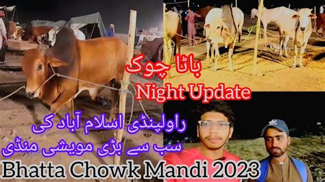 Bhatta Chowk Mandi 2023 Latest Update 12 June 2023 Cow Mandi 2023