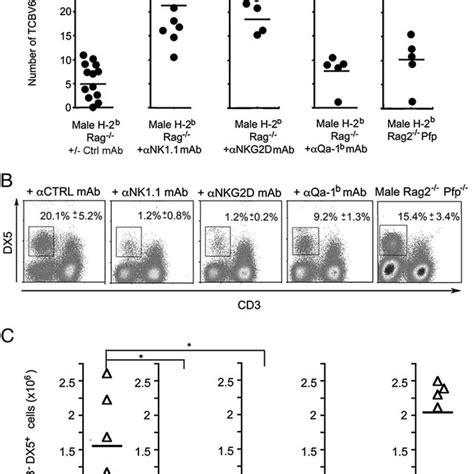 Nk Regulatory Activity Is Mediated By Nkg2d A Number Of Download