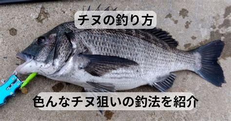 【チヌの釣り方】 色んなチヌの釣り方を紹介 ホビージンクリエイト