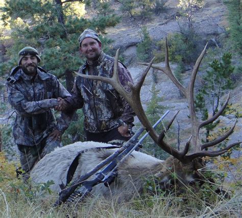 New Mexico Elk Hunts New Mexico Big Game Hunting