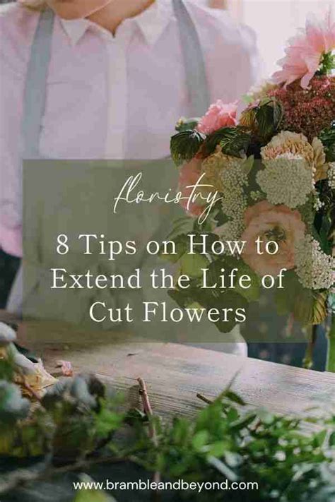 Tips To Growing Your Own Flowers For Your Wedding Bramble And Beyond