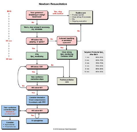 Resuscitation Of The Newborn