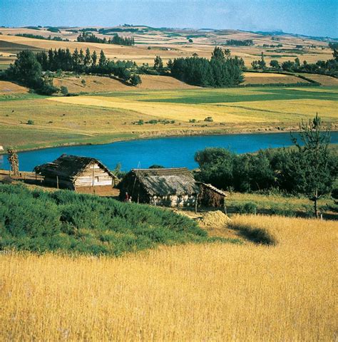 Comunidad Mapuche En Cholchol