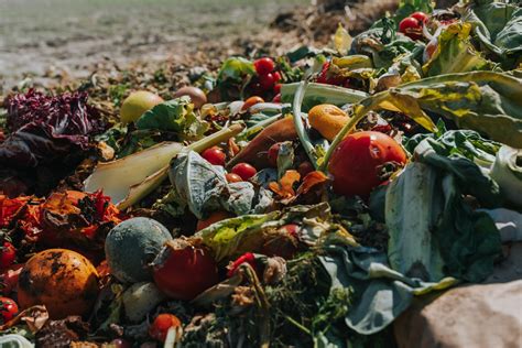 Food Waste Challenge Foundation For Food And Agriculture Research