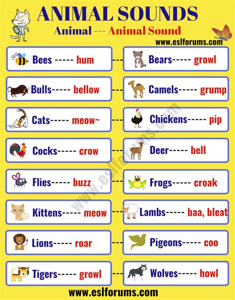 Learn Interesting Animal Sounds in English - ESL Forums