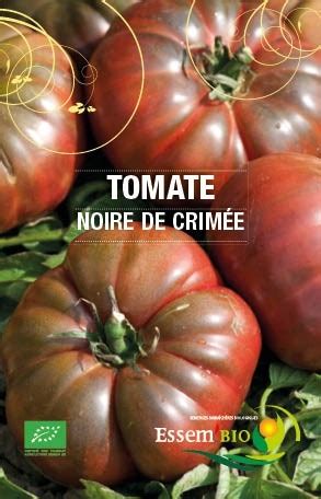 Plant Tomate Noire De Crim E U Sasu Les Jardins Auvergnats