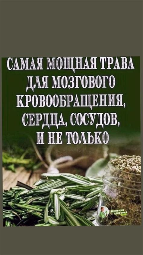Самая мощная трава | Gesundheit und schönheit, Gesundheit und wellness ...