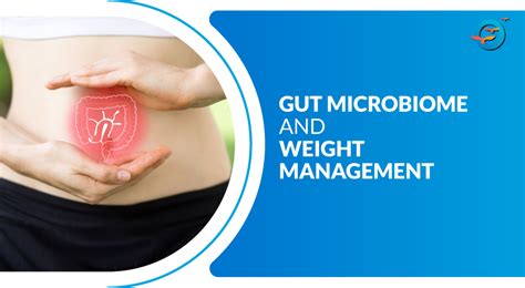 Role Of The Gut Microbiome In Weight Management Freedom From Diabetes