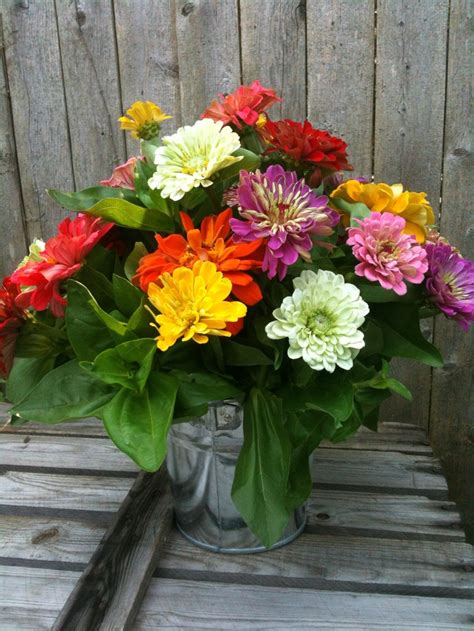 90 Best Zinnias Arrangement Ramos De Zinnias Images On Pinterest