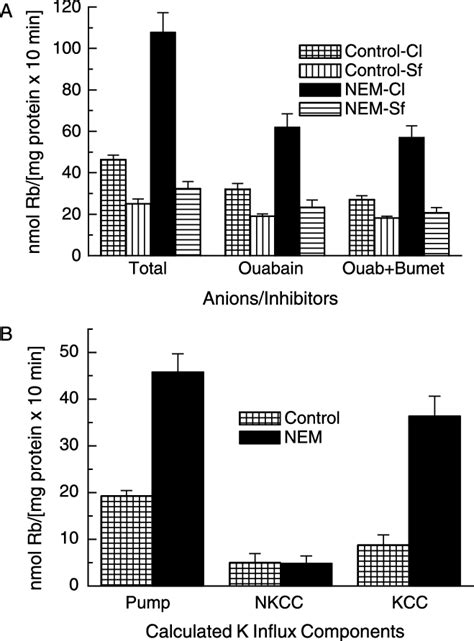 Determination Of Rb Influx Through The Na K Pump Nkcc And Kcc In