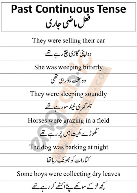 Past Continuous Tense In Urdu With Example Sentences Engrabic Past