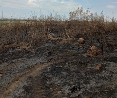 Dono De Fazenda Multado Em R Mi Por Irregularidades Ambientais