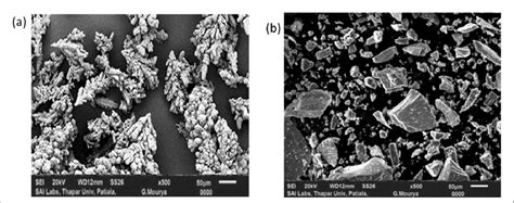 Sem Image Of A Copper Powder B Tic Powder Download Scientific