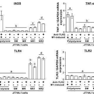 Effects Of Titania Nanosurfaces On TLR Expressions Of Macrophages Gene