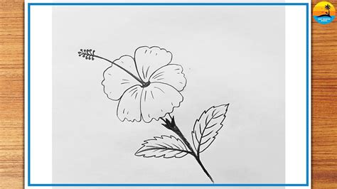 How to Draw Hibiscus Flower easy জব ফল আক Joba Ful Akanor