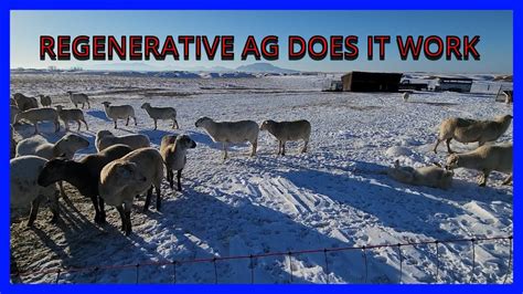 Can Regenerative Ranching Save You Youtube