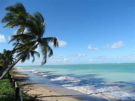 Praia Do Patacho Uma Das Praias Mais Bonitas Do Brasil Marcio No Mundo