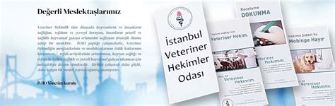 İstanbul Veteriner Hekimler Odası