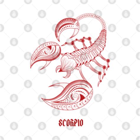 Scorpios Scorpius Scorpion Zodiac Sign Horoscope Astrology