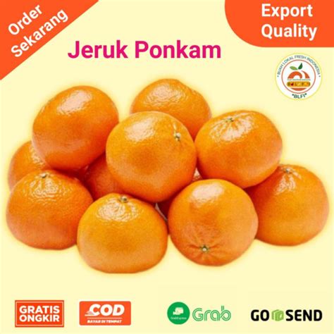 Jual Buah Jeruk Wokam Wogan Jeruk Mandarin Manis Harga Untuk Kg