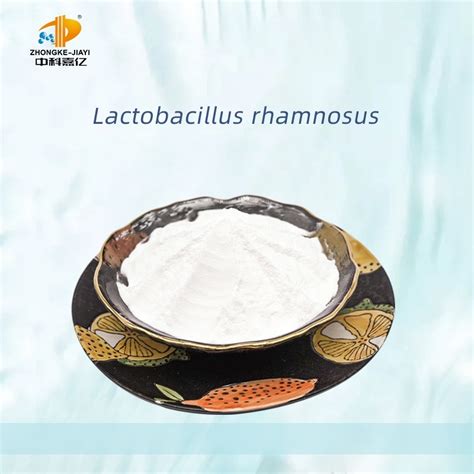 High Activity Lactobacillus Rhamnosus Probiotics Powder Gut Microbiome