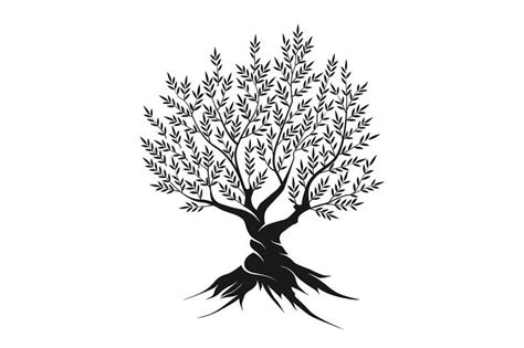 Vector Olive Tree Silhouette Tree Silhouette Olive Tree Illustration