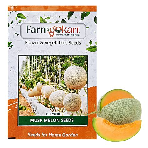 FARMGOKART 5 Gms MUSKMLEON F1 HYBRID SEEDS Vegetable And Fruit Seeds