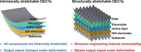 Stretchable Organic Electrochemical Transistors With Micro Nano Structures