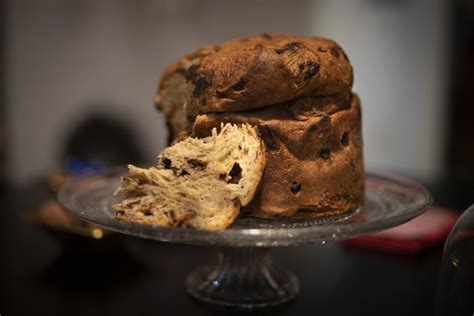 Receita de panetone caseiro 4 opções para fazer no Natal de 2021