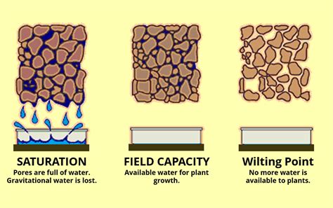 The Ultimate Guide To Soil Moisture Connectedcrops