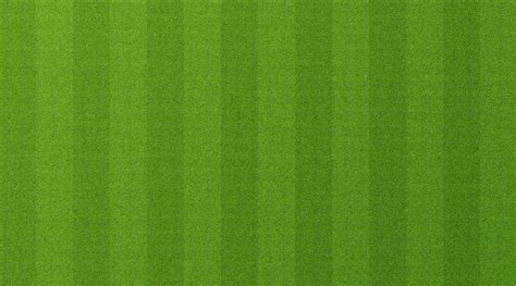football field texture