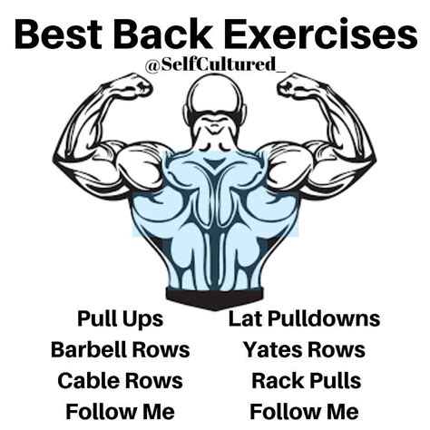 Top 10 The Best Muscle Building Back Exercises Back Exercises Good Back