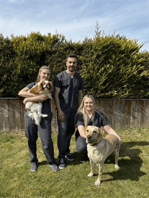 Vet Redcar | Veterinarian - Ironstone Veterinary Clinic