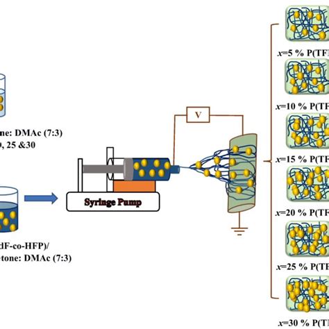 Schematic Diagrams For The Complete Mechanism For The Formation Of