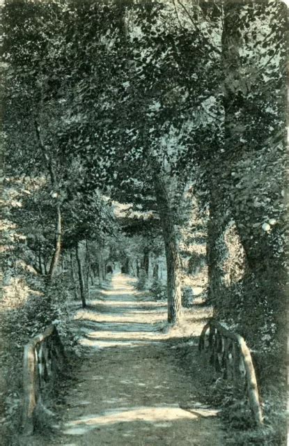 Le Touquet Paris Plage Panorama Pr S Des Dunes Plus Une Carte Sous Bois