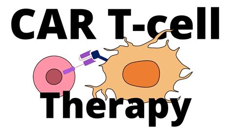 CAR T Cell Therapy Explained Manufacturing Process How It Works