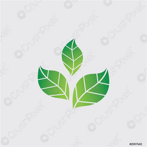 Logos Of Green Tree Leaf Ecology Stock Vector Crushpixel