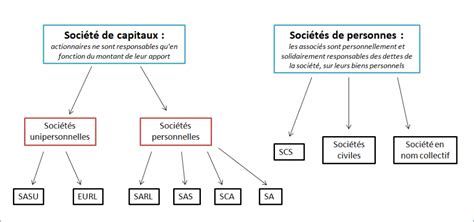 Sch Ma Soci T S Capitaux Vs Perso Legalife