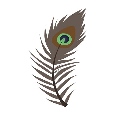 Peacock Feather Vector Png