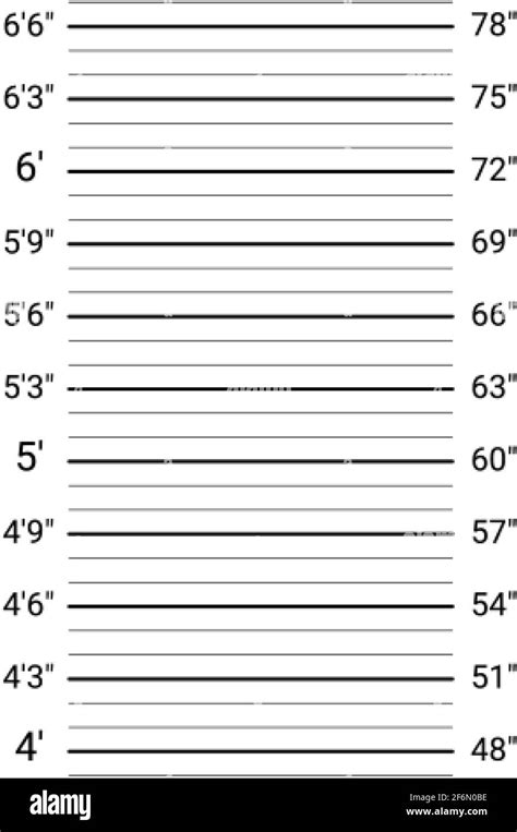 Mugshot Background Police Lineup Wall With An Imperial Units Scale