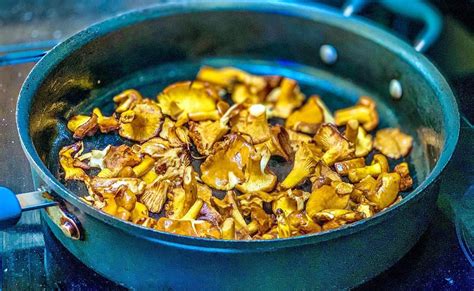 Guide De Cuisson Des Chanterelles Et Girolles Chasseurs De Champignons