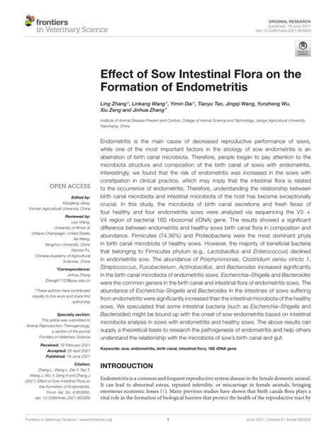 PDF Effect Of Sow Intestinal Flora On The Formation Of Endometritis