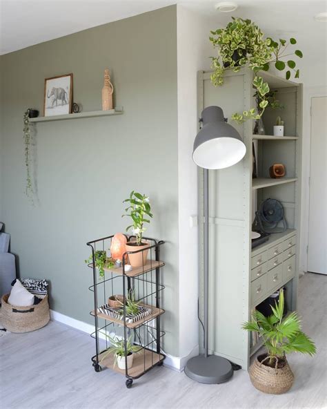 Botanische Stijl X Planten Inspiratie Makeover Nl Room