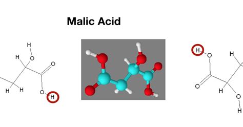 Maleic Acid Structure